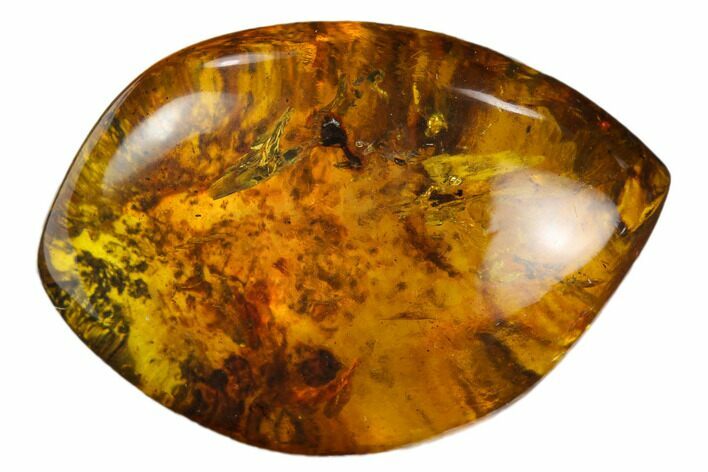 Polished Chiapas Amber ( g) - Mexico #114807